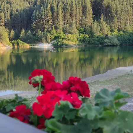 Апартамент St Ivan Rilski Free Luxury