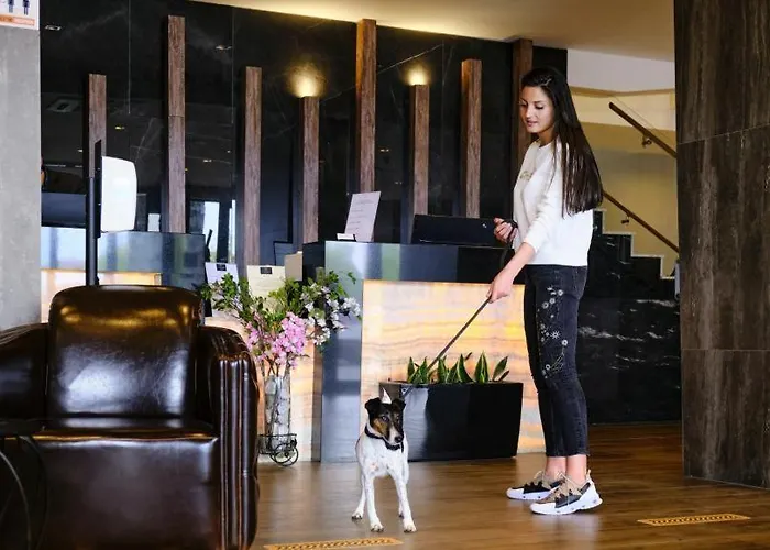 St Ivan Rilski Luxury Apartment Bansko