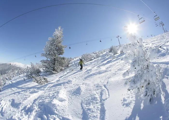 St Ivan Rilski Luxury Apartment *